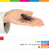 ست حشرات (بسته ۶ عددی)