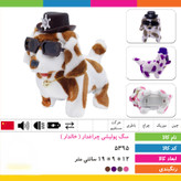 سگ پولیشی چراغ دار عینکی (خالدار)
